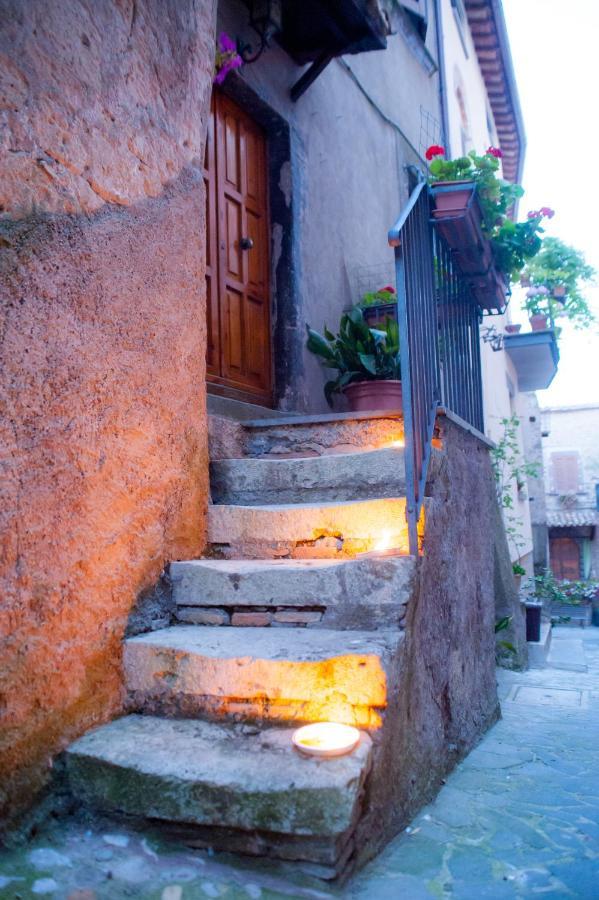 Civitella dʼAglianoCasa Flora别墅 外观 照片